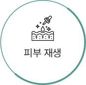 피부 재생